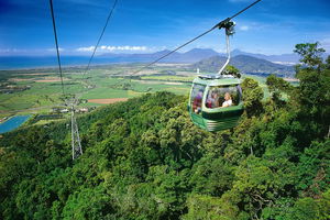 Best of Kuranda Including Skyrail, Kuranda Scenic Railway and Rainforestation