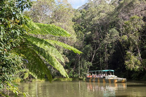Best Of Kuranda Including Skyrail, Kuranda Scenic Railway And Rainforestation - Accommodation Whitsundays 5