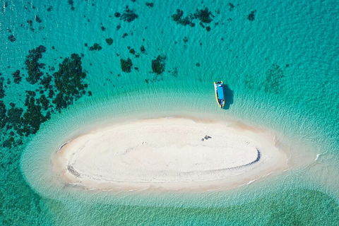 Ocean Safari Great Barrier Reef Experience In Cape Tribulation - Accommodation Whitsundays 3