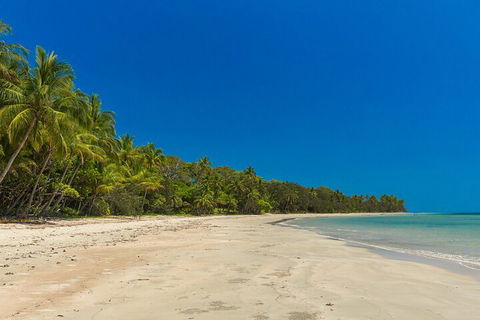 Ocean Safari Great Barrier Reef Experience In Cape Tribulation - Accommodation Whitsundays 4