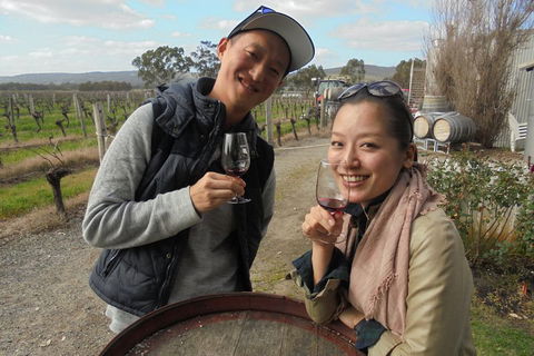 Swan Valley River Cruise And Wine Tasting Day Trip From Perth - Accommodation Whitsundays 0
