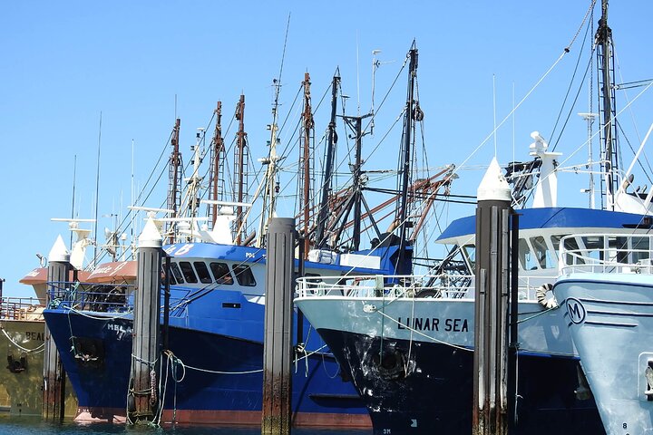  Accommodation Whitsundays