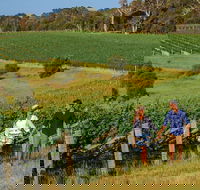 10 Day Perth to Adelaide Private Tour - The Great Australian Wilderness Journey - Accommodation Whitsundays