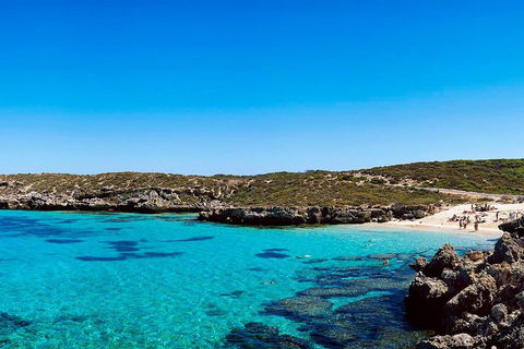 Rottnest Island Roundtrip Fast Ferry From Hillarys Boat Harbour - Accommodation Whitsundays 4