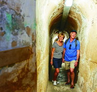 Rottnest Island Full-Day Trip With Guided Island Tour From Perth - Accommodation Whitsundays