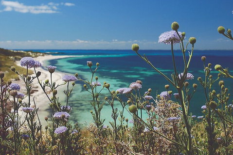 Rottnest Island Full-Day Trip With Guided Island Tour From Perth - Accommodation Whitsundays 2
