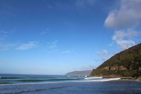 Private Great Ocean Road Day Tour With Early Departure & Early Return (11 Hours) - Accommodation Whitsundays 3