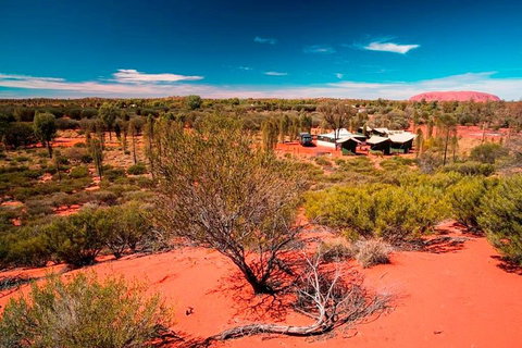 Overnight Uluru (Ayers Rock) Small-Group Camping Tour - Accommodation Whitsundays 2