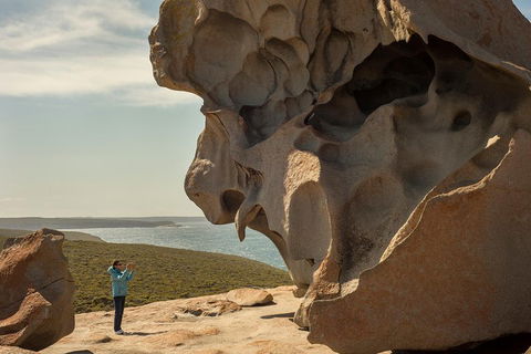 Kangaroo Island In A Day Tour From Adelaide - Accommodation Whitsundays 5