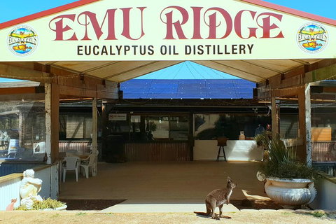 2 Day Ultimate Kangaroo Island With Return Ferry - Accommodation Whitsundays 3