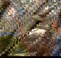 NEW TOUR - Kangaroo Island Road to Recovery Tour 1 Day/1 Night - Accommodation Whitsundays