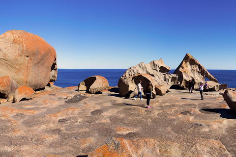 Full-Day Kangaroo Island Experience Departing From Kangaroo Island - Accommodation Whitsundays 4