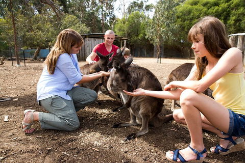 Full-Day Kangaroo Island Experience Departing From Kangaroo Island - Accommodation Whitsundays 5