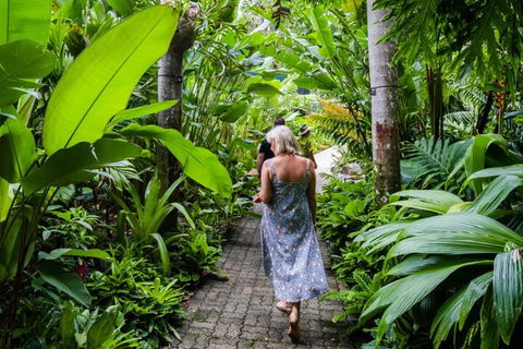 Cairns City Sights And Surrounds Tour - Accommodation Whitsundays 2