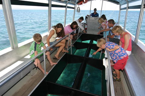 Cairns City Sights And Surrounds Tour - Accommodation Whitsundays 5