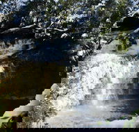 Cradle Mountain Day Tour from Launceston Including Lunch - Accommodation Whitsundays