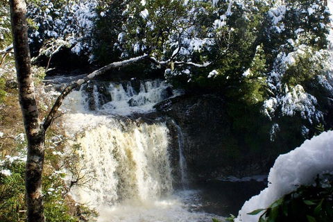 Cradle Mountain Park Explorer Guided Tour - Accommodation Whitsundays 4