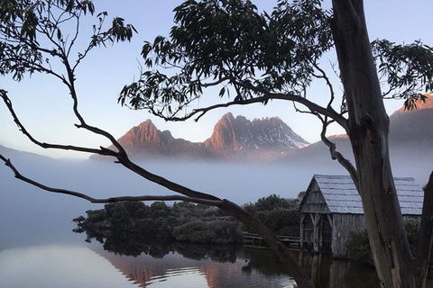 Cradle Mountain Park Explorer Guided Tour - Accommodation Whitsundays 5