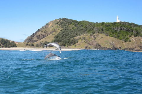 Kayaking With Dolphins In Byron Bay Guided Tour - Accommodation Whitsundays 0