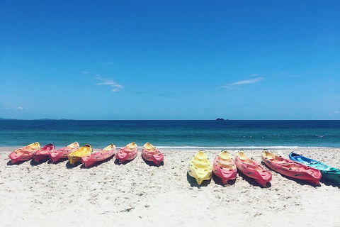 Kayaking With Dolphins In Byron Bay Guided Tour - Accommodation Whitsundays 1