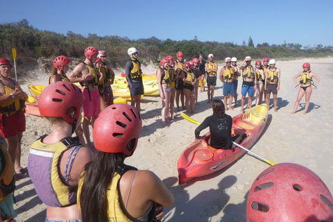 Kayaking With Dolphins In Byron Bay Guided Tour - Accommodation Whitsundays 2