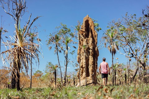 Litchfield National Park Waterfalls And Wildlife Tour From Darwin - Accommodation Whitsundays 4