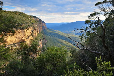 Blue Mountains Day Tour With Wildlife At Sunset From Sydney - Accommodation Whitsundays 5