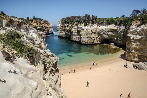Great Ocean Road Reverse Itinerary With 12 Apostles From Melbourne - Accommodation Whitsundays 5