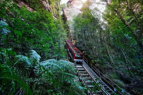 Blue Mountains Private Tour With Kangaroos & Koala Encounter - Accommodation Whitsundays 1