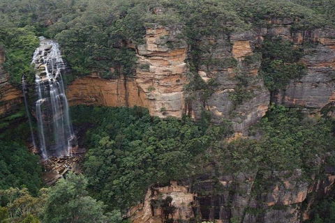 Blue Mountains Private Tour With Kangaroos & Koala Encounter - Accommodation Whitsundays 2