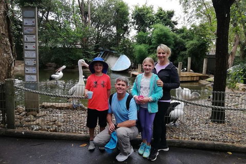 Blue Mountains Private Tour With Kangaroos & Koala Encounter - Accommodation Whitsundays 4