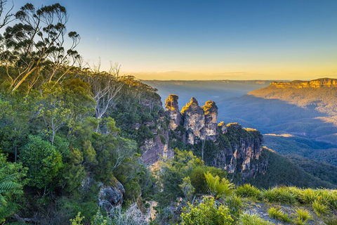 Blue Mountains Private Tour With Kangaroos & Koala Encounter - Accommodation Whitsundays 5