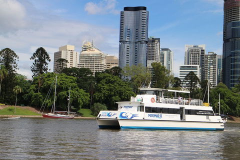 Lone Pine Koala Sanctuary Admission With Brisbane River Cruise - Accommodation Whitsundays 2