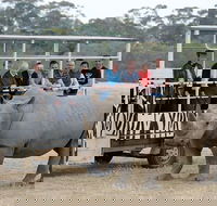 Off-Road Safari at Werribee Open Range Zoo - Accommodation Whitsundays