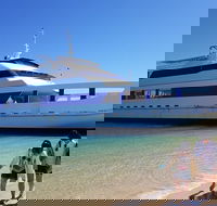 Moreton Island Day Trip Kayak Snorkel  Sandboard frm Brisbane or Gold Coast - Accommodation Whitsundays