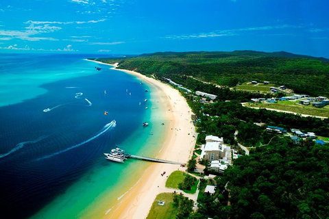 Tangalooma Island Resort Whale Watching Day Cruise - Accommodation Whitsundays 2