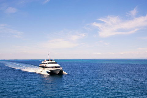 Tangalooma Island Resort Whale Watching Day Cruise - Accommodation Whitsundays 5
