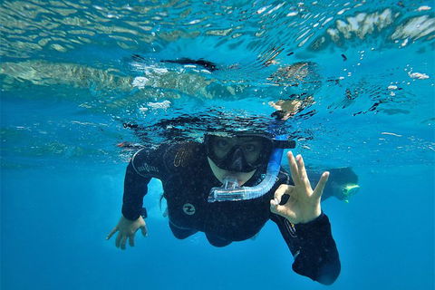 3 Day Whitsundays Sailing And Diving Adventure: Kiana - Accommodation Whitsundays 0