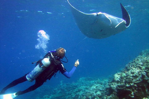 3 Day Whitsundays Sailing And Diving Adventure: Kiana - Accommodation Whitsundays 3