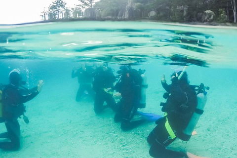 3 Day Whitsundays Sailing And Diving Adventure: Kiana - Accommodation Whitsundays 4