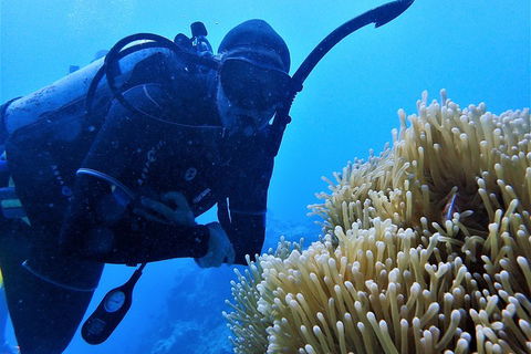 3 Day Whitsundays Sailing And Diving Adventure: Kiana - Accommodation Whitsundays 5
