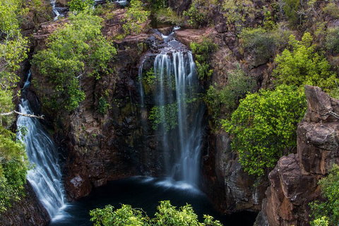 Litchfield National Park - Top End Day Tour From Darwin - Accommodation Whitsundays 2
