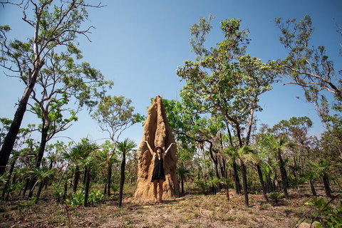 Litchfield National Park - Top End Day Tour From Darwin - Accommodation Whitsundays 5