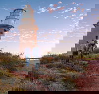 6-Day Coral Coaster from Perth to Exmouth One-Way via Monkey Mia Ningaloo Reef - Accommodation Whitsundays