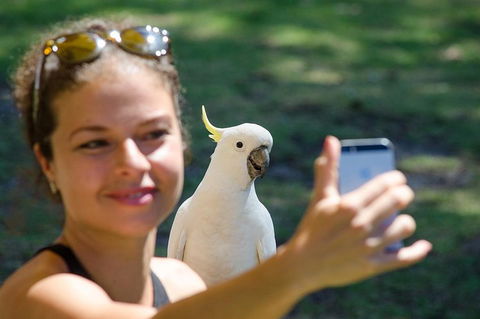 Melbourne To Adelaide South East Coast 3 Day Overland Tour - Accommodation Whitsundays 3