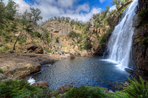 Melbourne To Adelaide South East Coast 3 Day Overland Tour - Accommodation Whitsundays 4