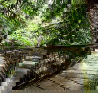 12 Apostles Eco-Friendly Great Ocean Road Iconic Adventure from Melbourne - Accommodation Whitsundays