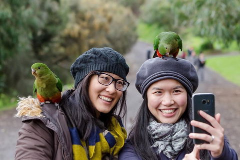 Small-Group Great Ocean Road And 12 Apostles Full-Day Tour From Melbourne - Accommodation Whitsundays 0