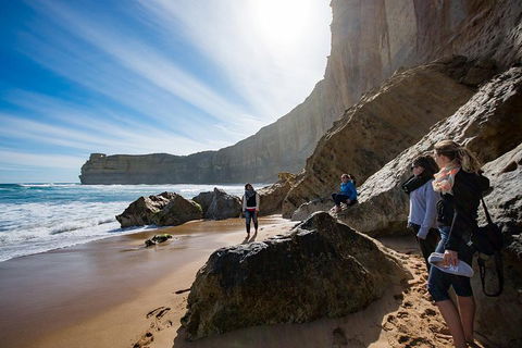 Small-Group Great Ocean Road And 12 Apostles Full-Day Tour From Melbourne - Accommodation Whitsundays 1