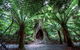 Small-Group Great Ocean Road And 12 Apostles Full-Day Tour From Melbourne - thumb 4